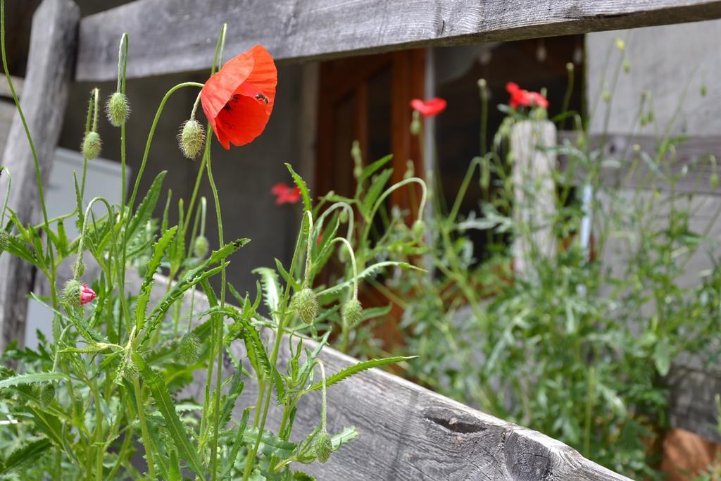Holiday Farmhouse Skvor Robidisce Екстериор снимка