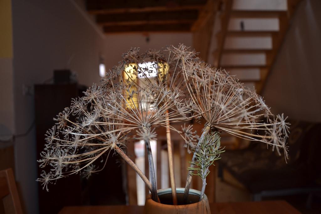 Holiday Farmhouse Skvor Robidisce Екстериор снимка